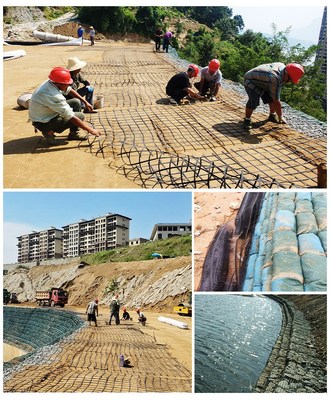 水穩(wěn)層用修路工程用鋼塑土工格柵80-80kn